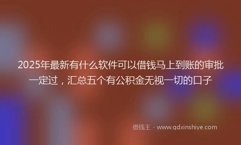 2025年最新有什么软件可以借钱马上到账的审批一定过，汇总五个有公积金无视一切的口子