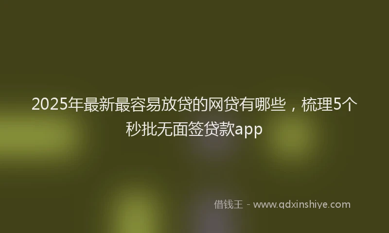 2025年最新最容易放贷的网贷有哪些，梳理5个秒批无面签贷款app