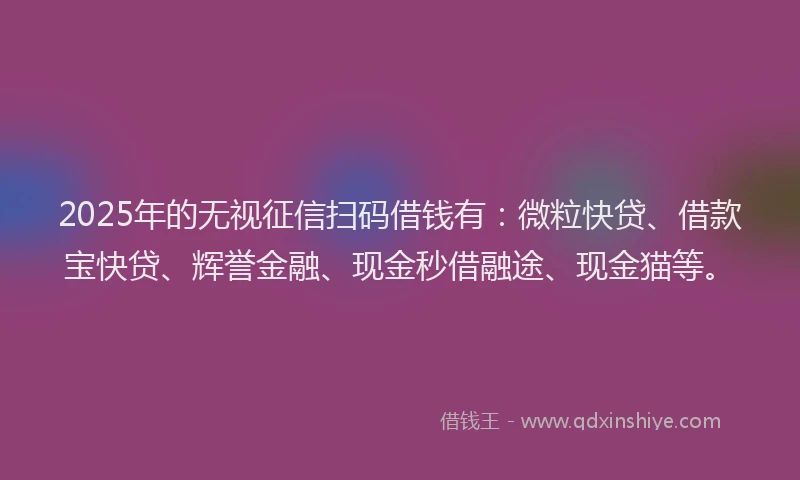 2025年的无视征信扫码借钱有：微粒快贷、借款宝快贷、辉誉金融、现金秒借融途、现金猫等。