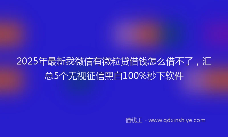 2025年最新我微信有微粒贷借钱怎么借不了，汇总5个无视征信黑白100%秒下软件