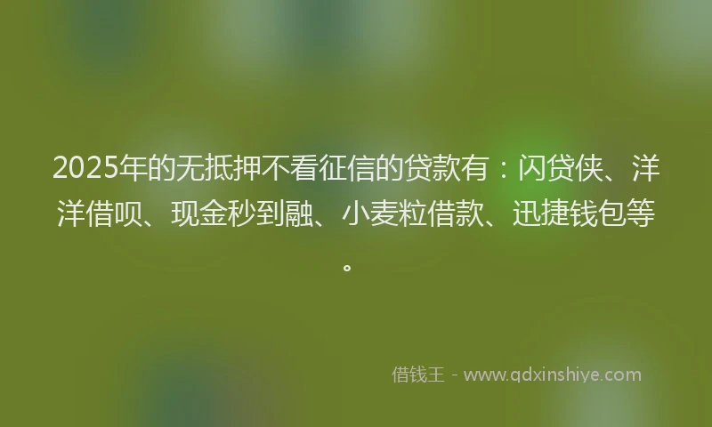 2025年的无抵押不看征信的贷款有：闪贷侠、洋洋借呗、现金秒到融、小麦粒借款、迅捷钱包等。