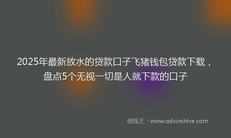 2025年最新放水的贷款口子飞猪钱包贷款下载，盘点5个无视一切是人就下款的口子