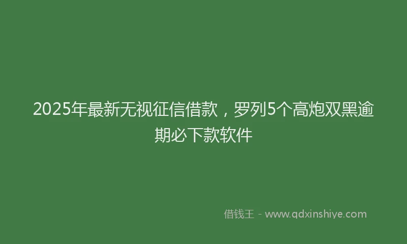 2025年最新无视征信借款，罗列5个高炮双黑逾期必下款软件