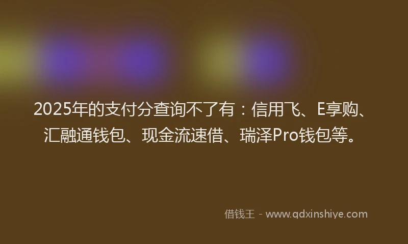 2025年的支付分查询不了有：信用飞、E享购、汇融通钱包、现金流速借、瑞泽Pro钱包等。