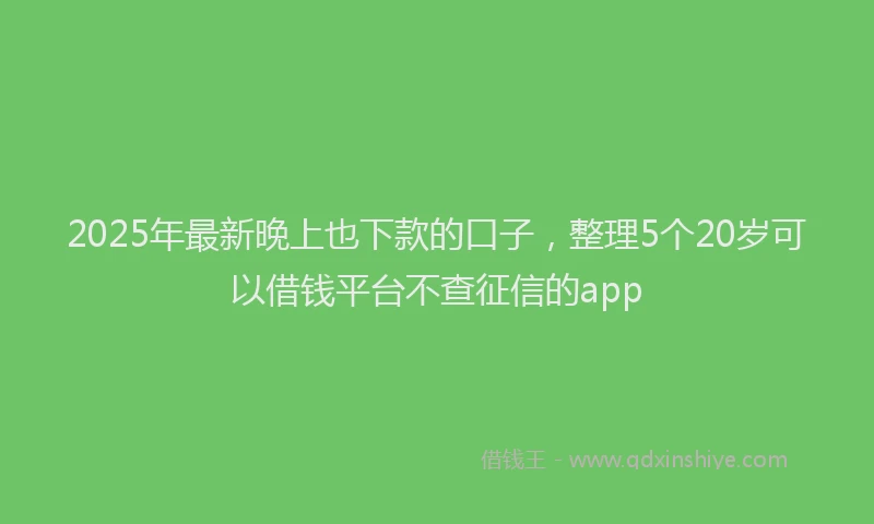 2025年最新晚上也下款的口子，整理5个20岁可以借钱平台不查征信的app