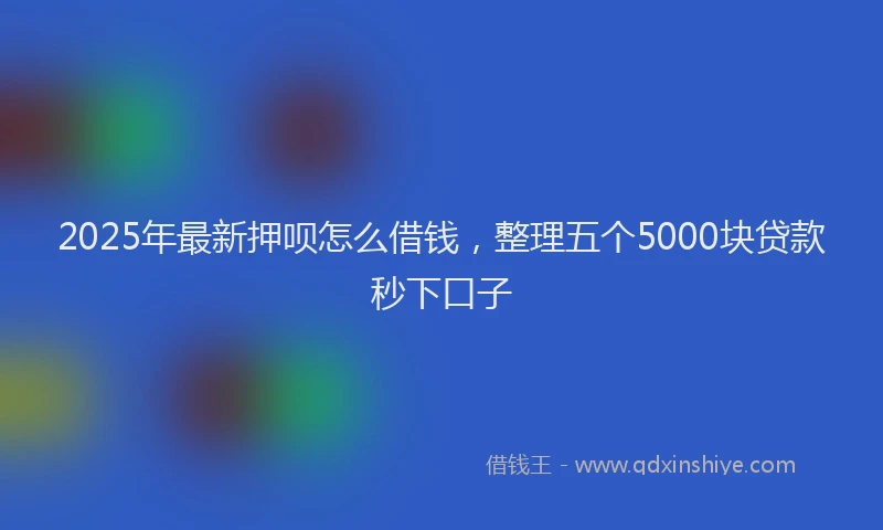 2025年最新押呗怎么借钱，整理五个5000块贷款秒下口子