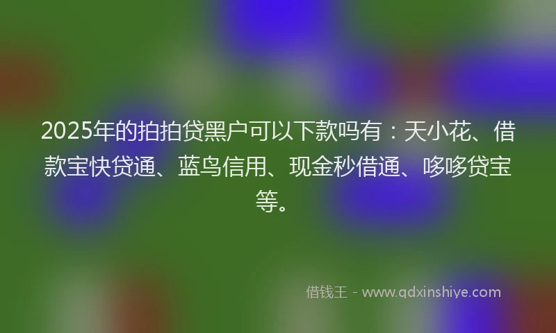 2025年的拍拍贷黑户可以下款吗有：天小花、借款宝快贷通、蓝鸟信用、现金秒借通、哆哆贷宝等。