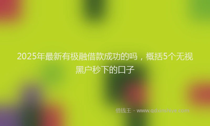 2025年最新有极融借款成功的吗，概括5个无视黑户秒下的口子