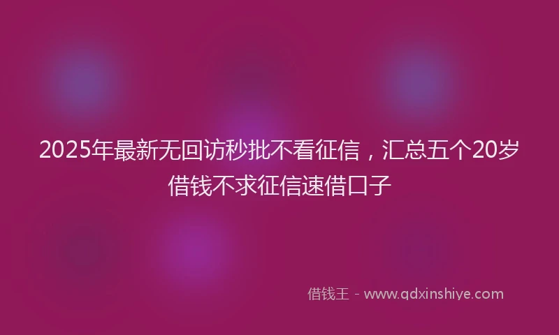 2025年最新无回访秒批不看征信，汇总五个20岁借钱不求征信速借口子