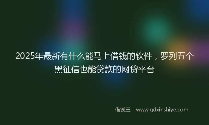 2025年最新有什么能马上借钱的软件，罗列五个黑征信也能贷款的网贷平台