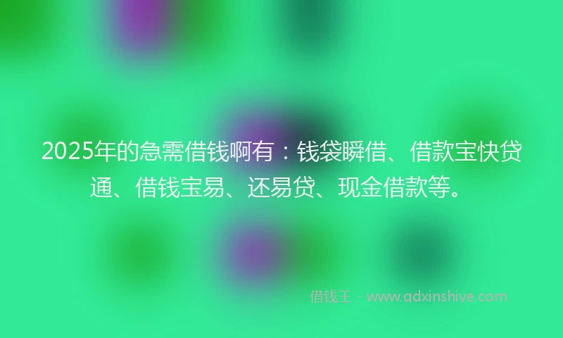 2025年的急需借钱啊有：钱袋瞬借、借款宝快贷通、借钱宝易、还易贷、现金借款等。