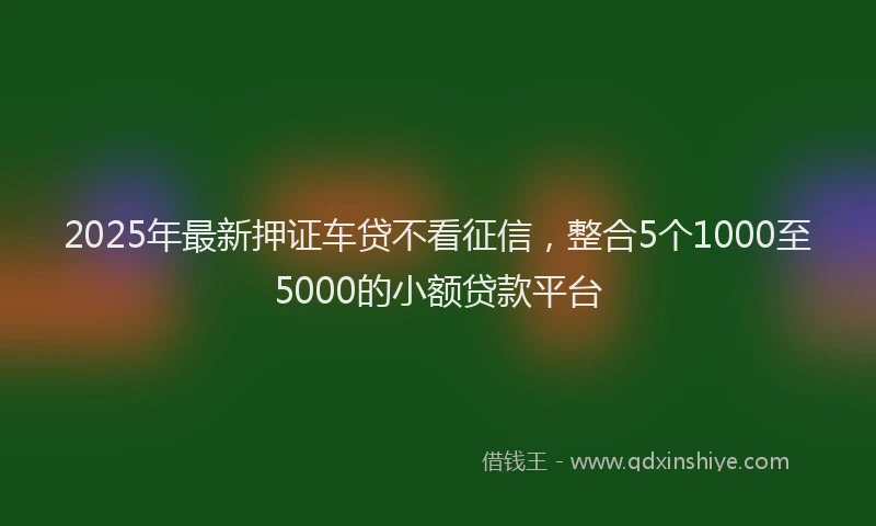 2025年最新押证车贷不看征信，整合5个1000至5000的小额贷款平台