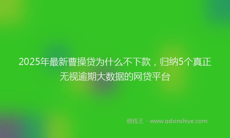 2025年最新曹操贷为什么不下款，归纳5个真正无视逾期大数据的网贷平台
