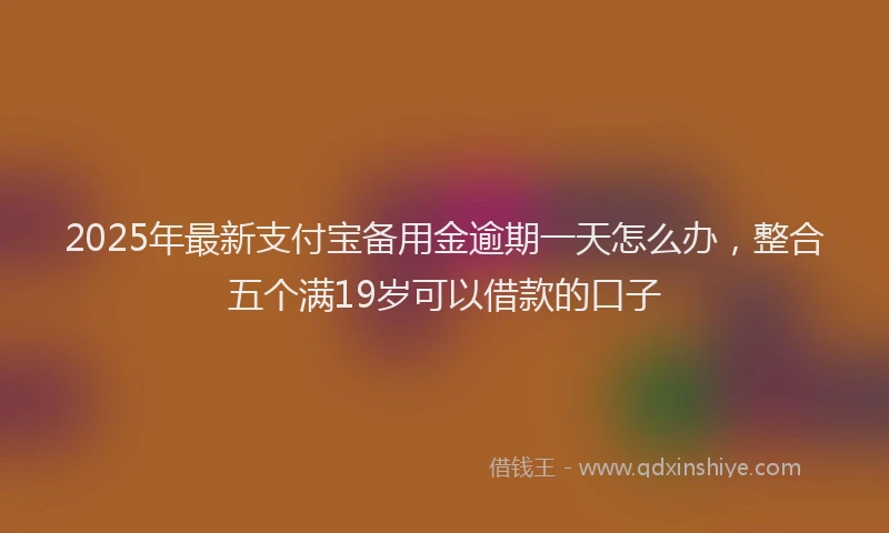 2025年最新支付宝备用金逾期一天怎么办，整合五个满19岁可以借款的口子