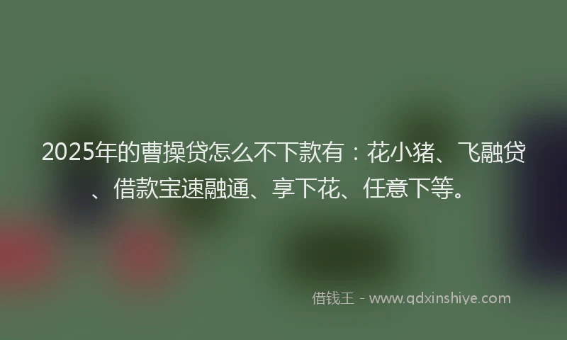 2025年的曹操贷怎么不下款有：花小猪、飞融贷、借款宝速融通、享下花、任意下等。