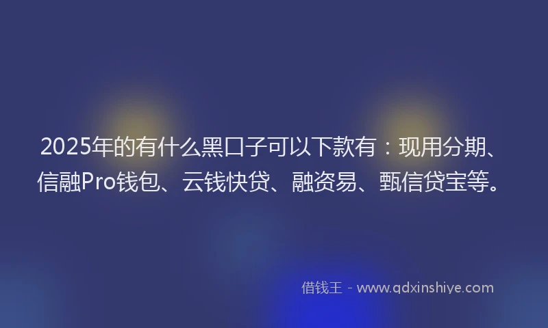 2025年的有什么黑口子可以下款有：现用分期、信融Pro钱包、云钱快贷、融资易、甄信贷宝等。