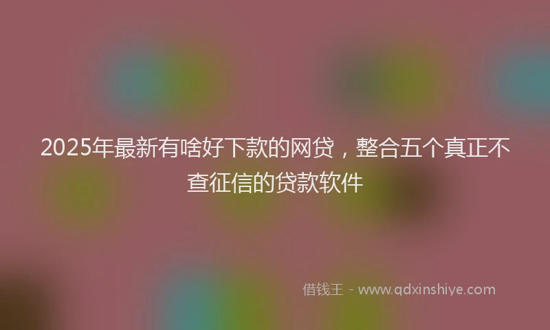 2025年最新有啥好下款的网贷，整合五个真正不查征信的贷款软件