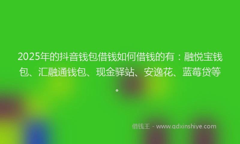 2025年的抖音钱包借钱如何借钱的有：融悦宝钱包、汇融通钱包、现金驿站、安逸花、蓝莓贷等。