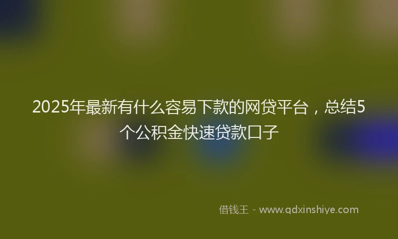 2025年最新有什么容易下款的网贷平台，总结5个公积金快速贷款口子