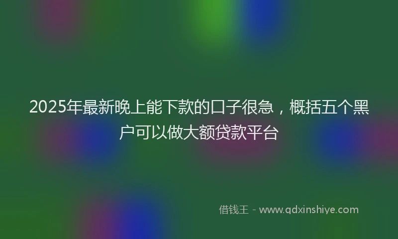 2025年最新晚上能下款的口子很急，概括五个黑户可以做大额贷款平台