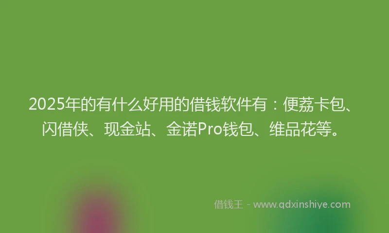 2025年的有什么好用的借钱软件有：便荔卡包、闪借侠、现金站、金诺Pro钱包、维品花等。