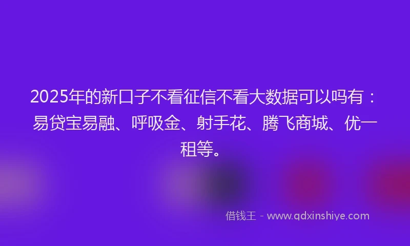 2025年的新口子不看征信不看大数据可以吗有：易贷宝易融、呼吸金、射手花、腾飞商城、优一租等。