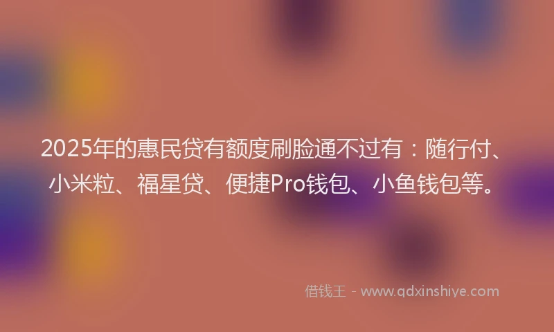 2025年的惠民贷有额度刷脸通不过有：随行付、小米粒、福星贷、便捷Pro钱包、小鱼钱包等。