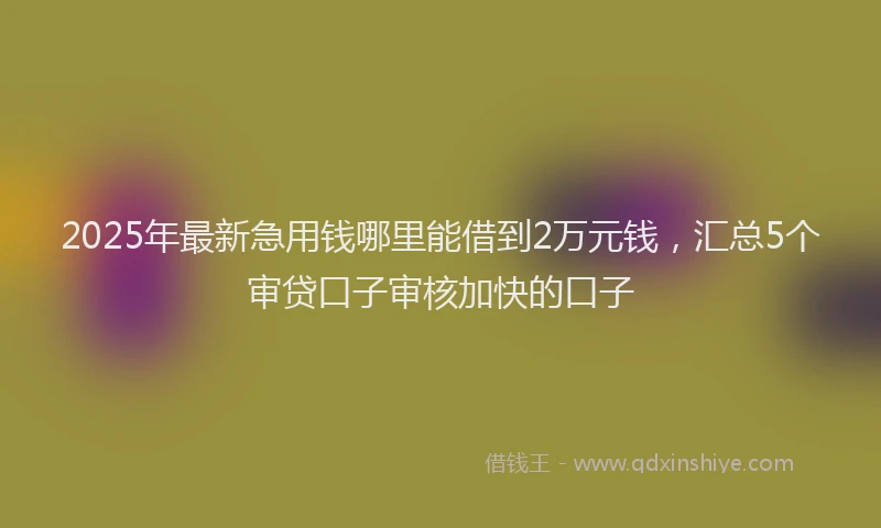 2025年最新急用钱哪里能借到2万元钱，汇总5个审贷口子审核加快的口子