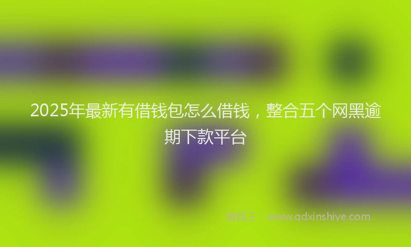 2025年最新有借钱包怎么借钱,整合五个网黑逾期下款平台