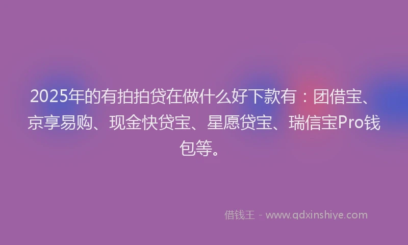 2025年的有拍拍贷在做什么好下款有：团借宝、京享易购、现金快贷宝、星愿贷宝、瑞信宝Pro钱包等。