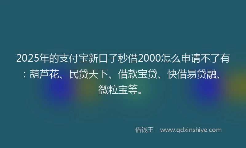 2025年的支付宝新口子秒借2000怎么申请不了有：葫芦花、民贷天下、借款宝贷、快借易贷融、微粒宝等。