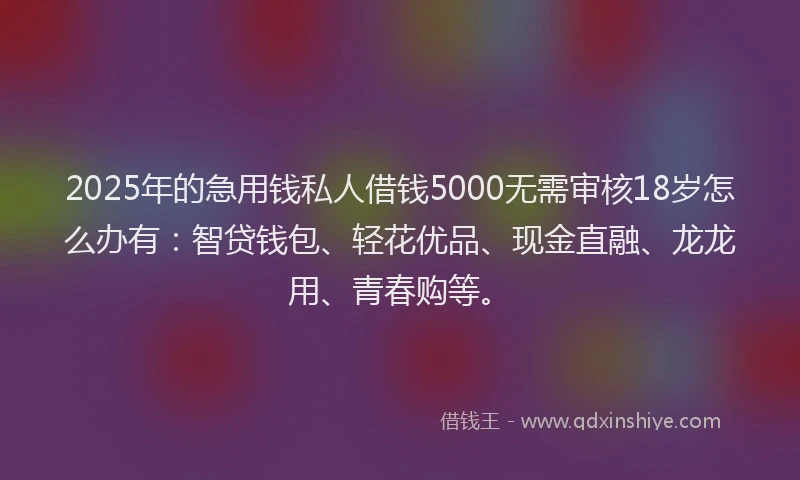 2025年的急用钱私人借钱5000无需审核18岁怎么办有：智贷钱包、轻花优品、现金直融、龙龙用、青春购等。