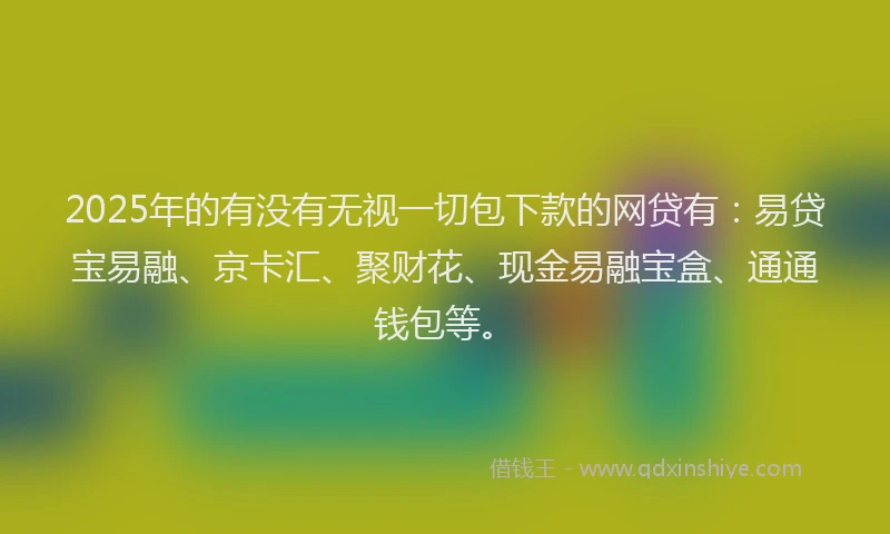 2025年的有没有无视一切包下款的网贷有：易贷宝易融、京卡汇、聚财花、现金易融宝盒、通通钱包等。