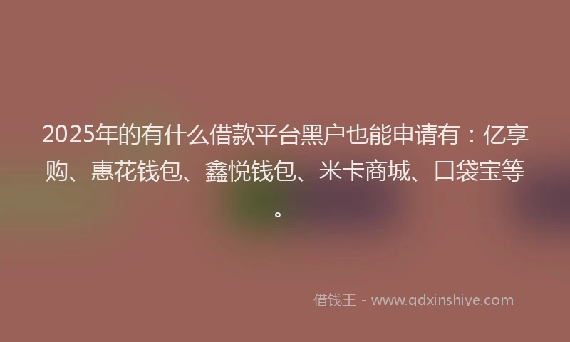 2025年的有什么借款平台黑户也能申请有：亿享购、惠花钱包、鑫悦钱包、米卡商城、口袋宝等。
