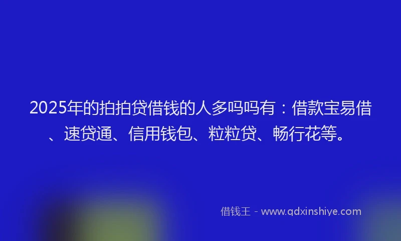 2025年的拍拍贷借钱的人多吗吗有：借款宝易借、速贷通、信用钱包、粒粒贷、畅行花等。