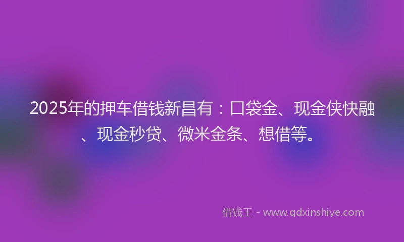 2025年的押车借钱新昌有：口袋金、现金侠快融、现金秒贷、微米金条、想借等。