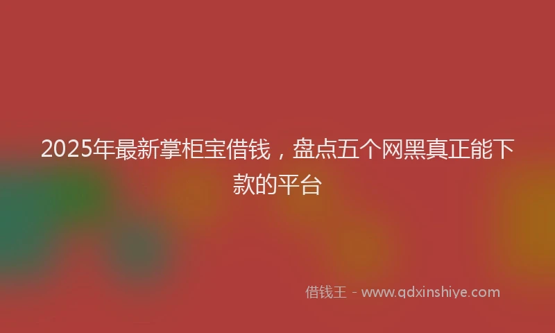 2025年最新掌柜宝借钱，盘点五个网黑真正能下款的平台