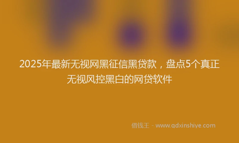 2025年最新无视网黑征信黑贷款，盘点5个真正无视风控黑白的网贷软件