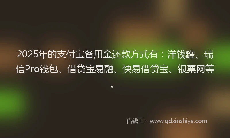 2025年的支付宝备用金还款方式有：洋钱罐、瑞信Pro钱包、借贷宝易融、快易借贷宝、银票网等。