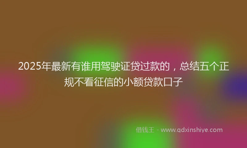 2025年最新有谁用驾驶证贷过款的，总结五个正规不看征信的小额贷款口子