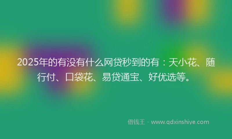 2025年的有没有什么网贷秒到的有：天小花、随行付、口袋花、易贷通宝、好优选等。