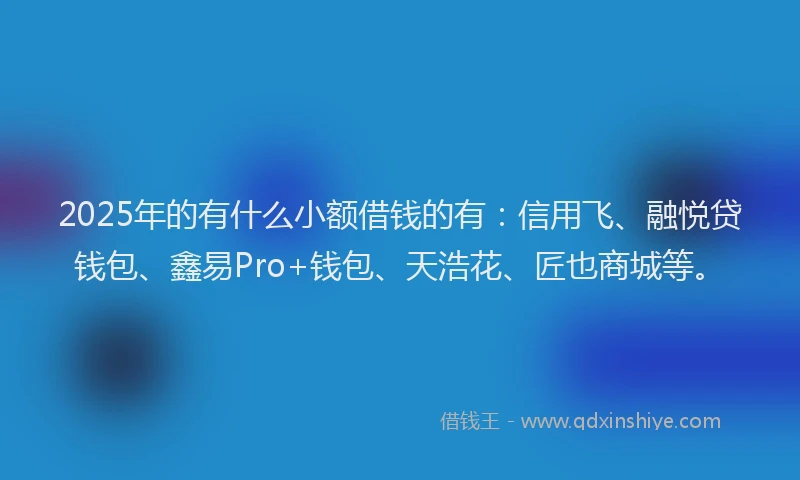 2025年的有什么小额借钱的有：信用飞、融悦贷钱包、鑫易Pro+钱包、天浩花、匠也商城等。