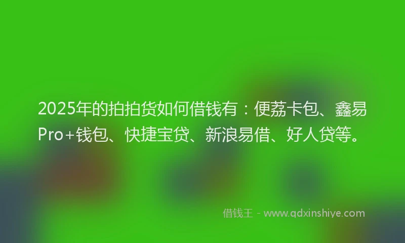 2025年的拍拍货如何借钱有：便荔卡包、鑫易Pro+钱包、快捷宝贷、新浪易借、好人贷等。