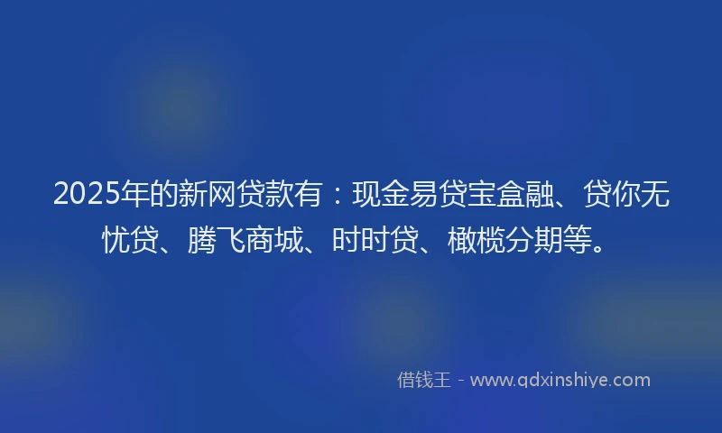 2025年的新网贷款有：现金易贷宝盒融、贷你无忧贷、腾飞商城、时时贷、橄榄分期等。