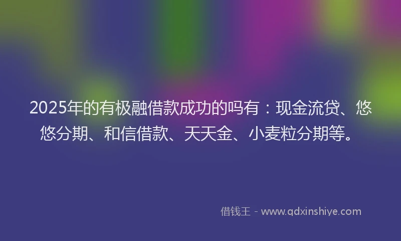 2025年的有极融借款成功的吗有：现金流贷、悠悠分期、和信借款、天天金、小麦粒分期等。