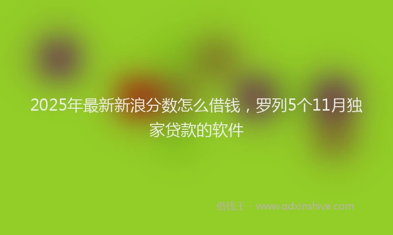 2025年最新新浪分数怎么借钱，罗列5个11月独家贷款的软件