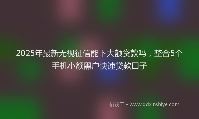 2025年最新无视征信能下大额贷款吗，整合5个手机小额黑户快速贷款口子