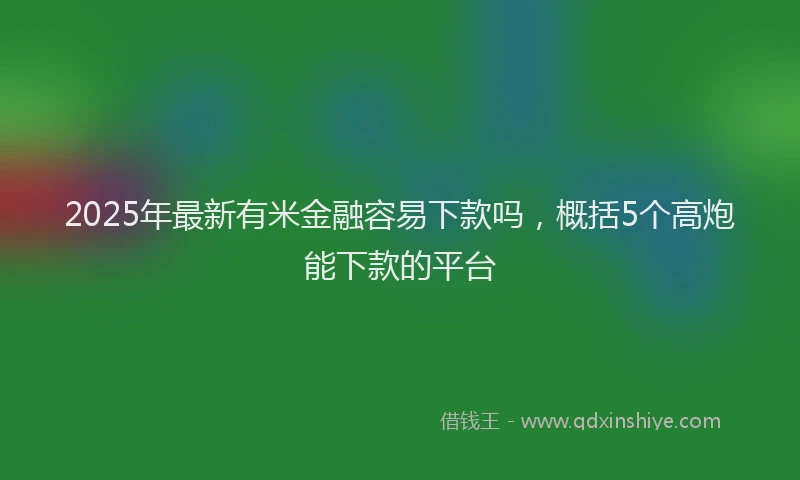 2025年最新有米金融容易下款吗，概括5个高炮能下款的平台