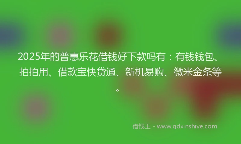 2025年的普惠乐花借钱好下款吗有：有钱钱包、拍拍用、借款宝快贷通、新机易购、微米金条等。