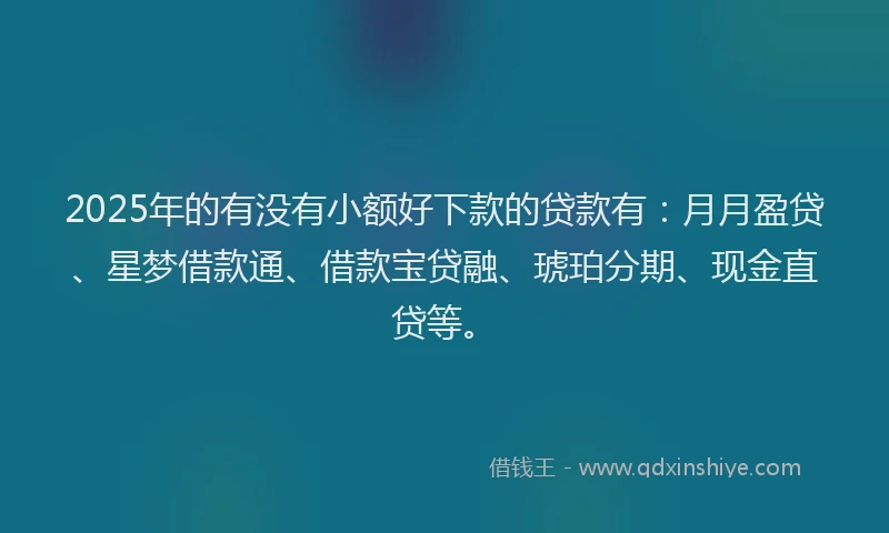2025年的有没有小额好下款的贷款有：月月盈贷、星梦借款通、借款宝贷融、琥珀分期、现金直贷等。